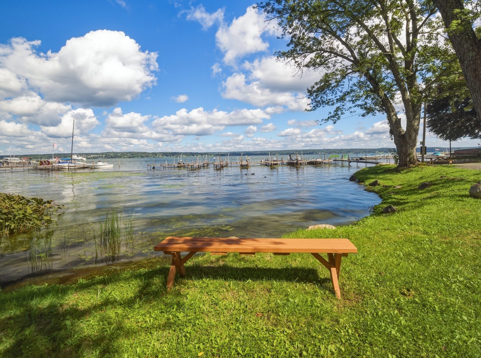 Lakefront bench